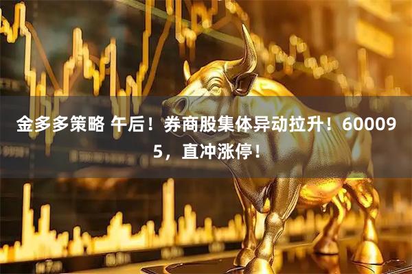 金多多策略 午后！券商股集体异动拉升！600095，直冲涨停！