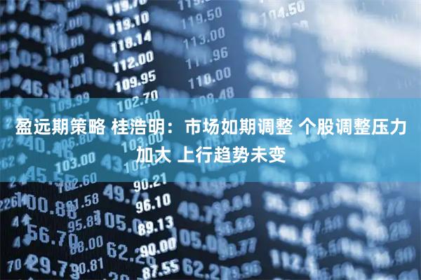 盈远期策略 桂浩明：市场如期调整 个股调整压力加大 上行趋势未变