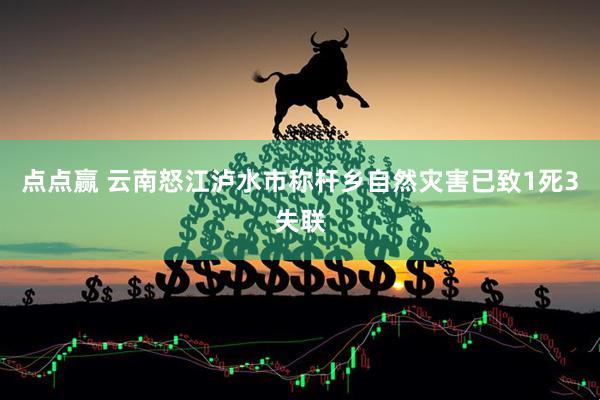 点点赢 云南怒江泸水市称杆乡自然灾害已致1死3失联