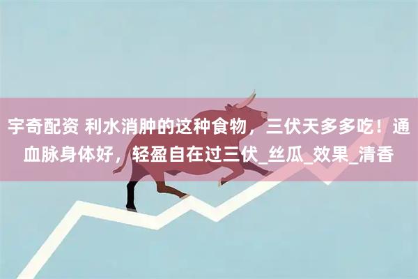 宇奇配资 利水消肿的这种食物，三伏天多多吃！通血脉身体好，轻盈自在过三伏_丝瓜_效果_清香