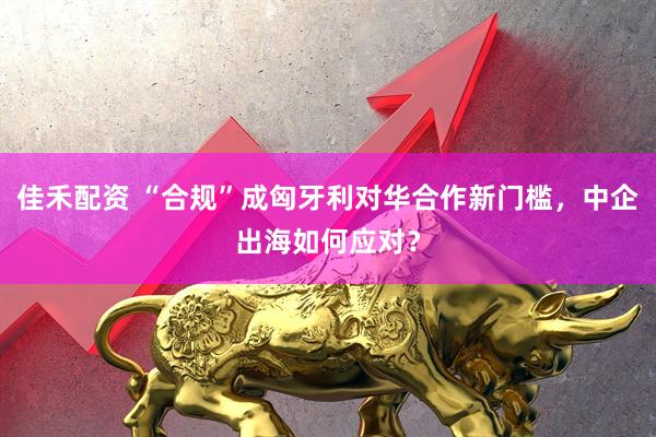 佳禾配资 “合规”成匈牙利对华合作新门槛，中企出海如何应对？