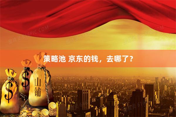 策略池 京东的钱，去哪了？