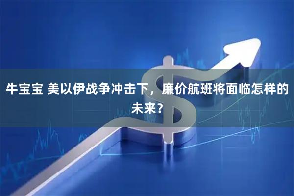 牛宝宝 美以伊战争冲击下，廉价航班将面临怎样的未来？