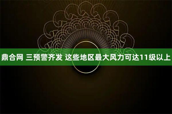 鼎合网 三预警齐发 这些地区最大风力可达11级以上